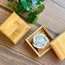 Cargar imagen en el visor de la galería, Cofre abierto junto a planta decorativa, con tapa y jabón de flor de mayo en su interior, ideal para mantener el jabón seco.